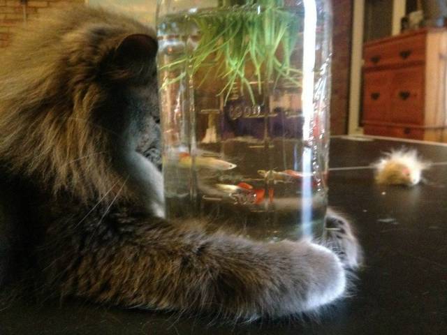 daily picdump 93 pics 15.html - 93 HD Photos | Premium Gallery 2017