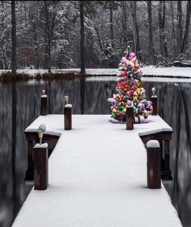 daily picdump 93 pics 15.html - 93 HD Photos | Premium Gallery 2017