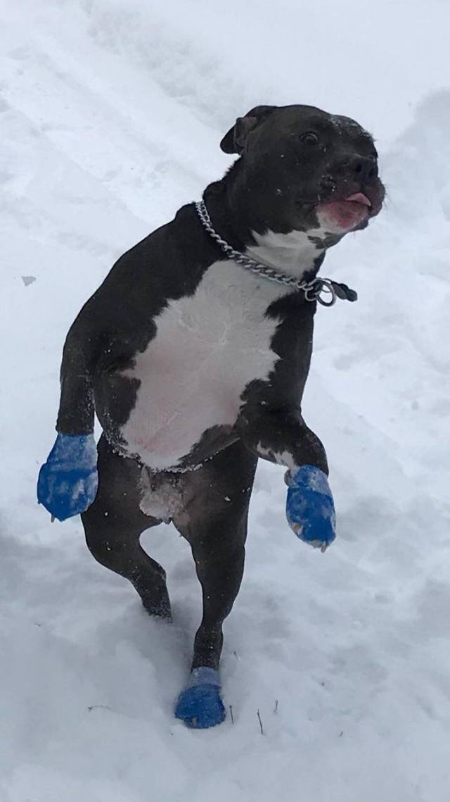 daily picdump 93 pics 15.html - 93 HD Photos | Premium Gallery 2017