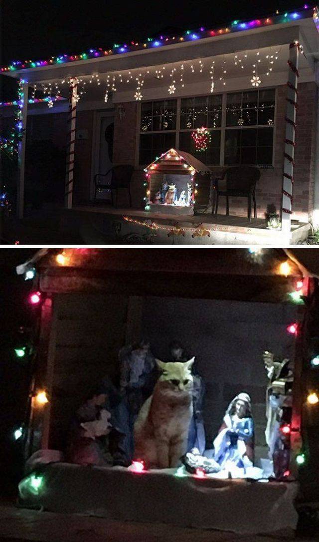 daily picdump 93 pics 15.html - 93 HD Photos | Premium Gallery 2017