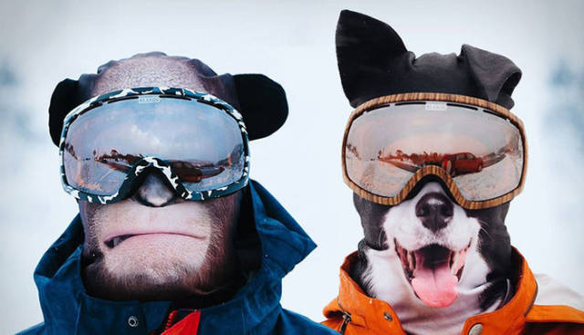 Morning Picdump