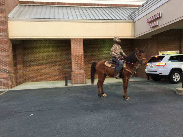 morning picdump 52 pics 18.html - 52 HD Photos | Premium Gallery 2017