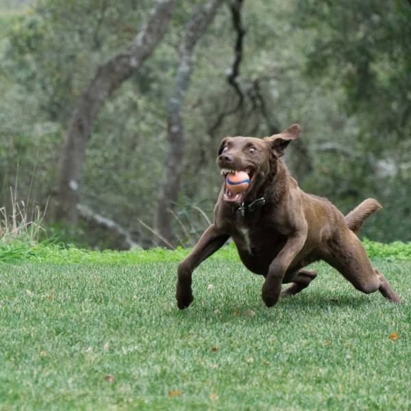 morning picdump 52 pics 18.html - 52 HD Photos | Premium Gallery 2017