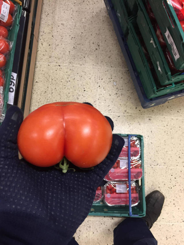 morning picdump 52 pics 18.html - 52 HD Photos | Premium Gallery 2017