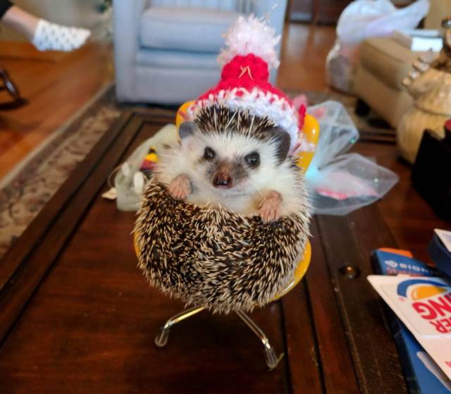 daily picdump 91 pics 20.html - 91 HD Photos | Premium Gallery 2017