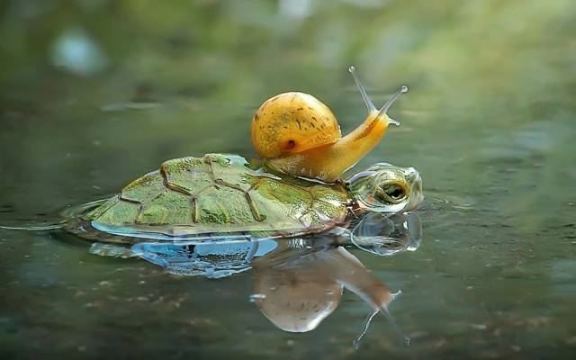 daily picdump 91 pics 20.html - 91 HD Photos | Premium Gallery 2017