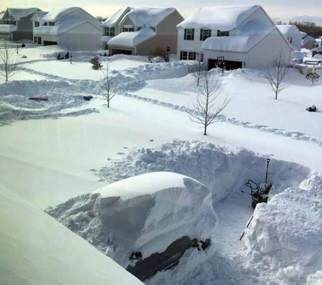 daily picdump 91 pics 20.html - 91 HD Photos | Premium Gallery 2017