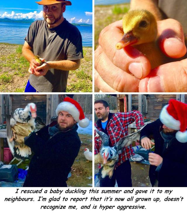 daily picdump 91 pics 20.html - 91 HD Photos | Premium Gallery 2017