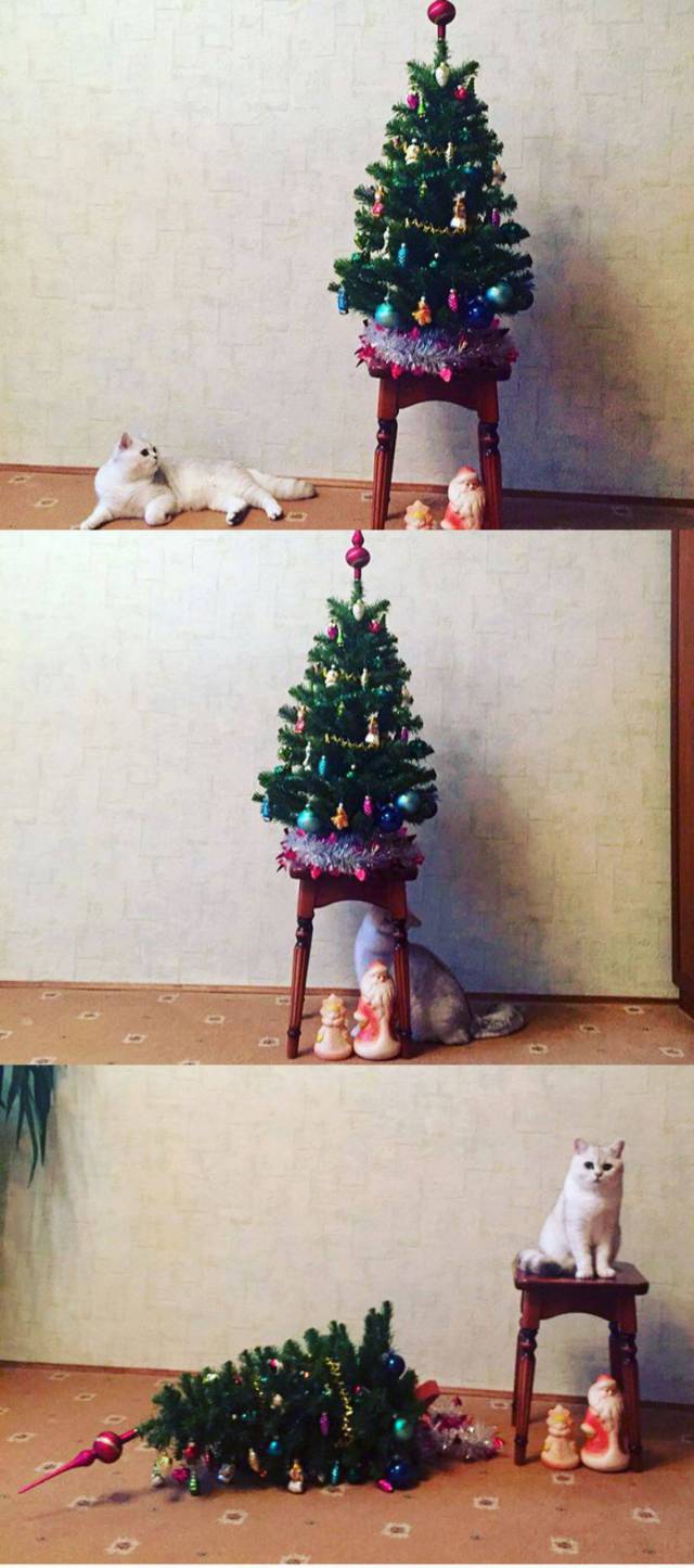 daily picdump 91 pics 20.html - 91 HD Photos | Premium Gallery 2017