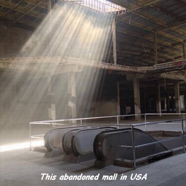 daily picdump 92 pics 17.html - 92 HD Photos | Premium Gallery 2017