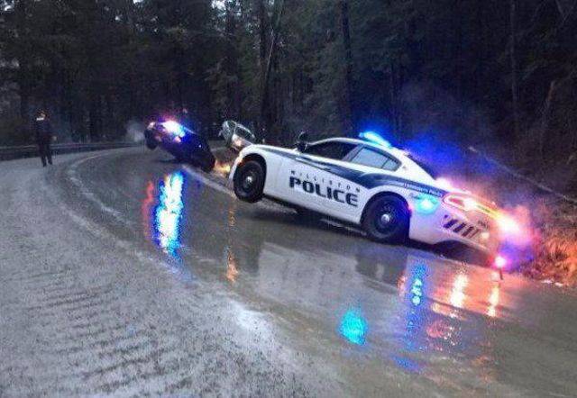 daily picdump 92 pics 17.html - 92 HD Photos | Premium Gallery 2017