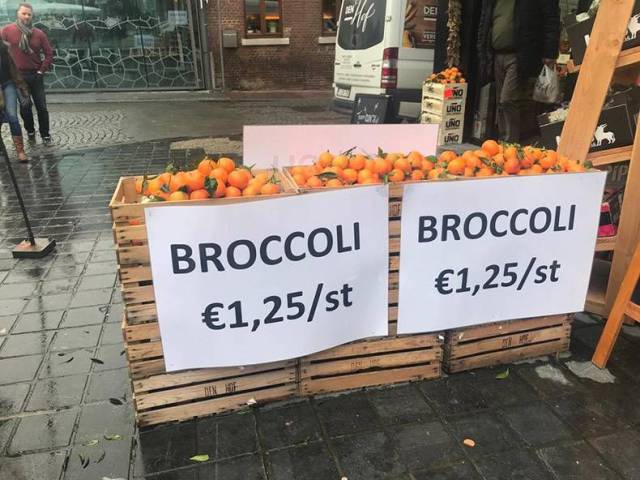 daily picdump 92 pics 17.html - 92 HD Photos | Premium Gallery 2017