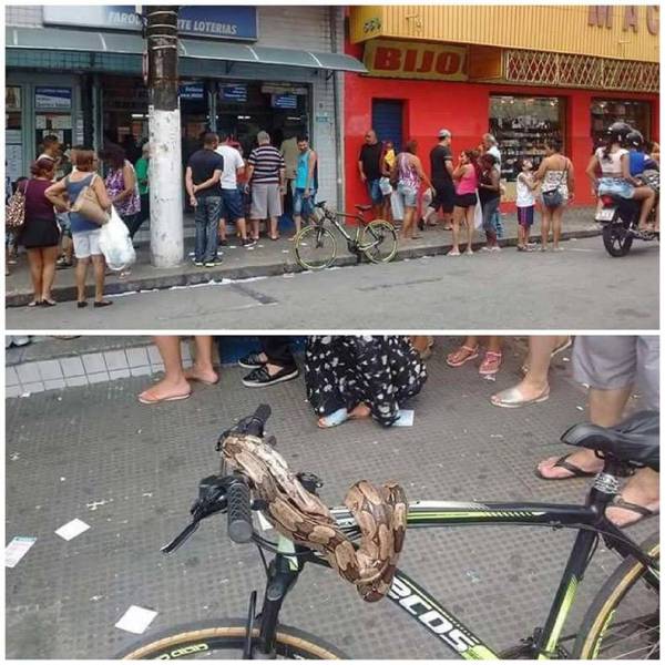 daily picdump 92 pics 17.html - 92 HD Photos | Premium Gallery 2017