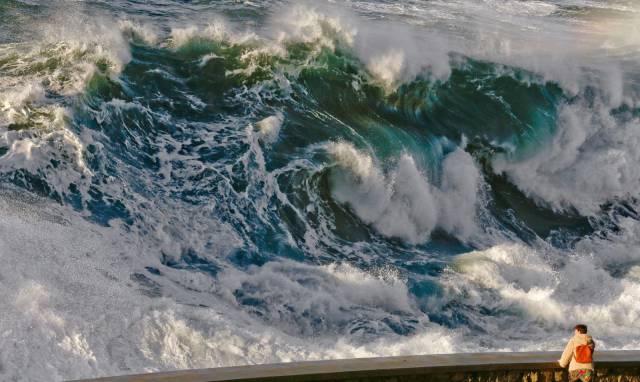 daily picdump 92 pics 17.html - 92 HD Photos | Premium Gallery 2017