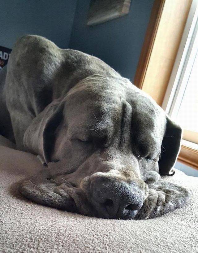 daily picdump 92 pics 17.html - 92 HD Photos | Premium Gallery 2017