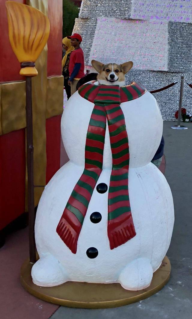 daily picdump 92 pics 17.html - 92 HD Photos | Premium Gallery 2017