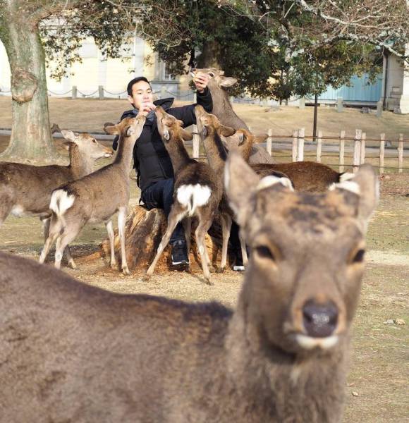 daily picdump weekend edition 50 pics 9.html - 50 HD Photos | Premium Gallery 2017