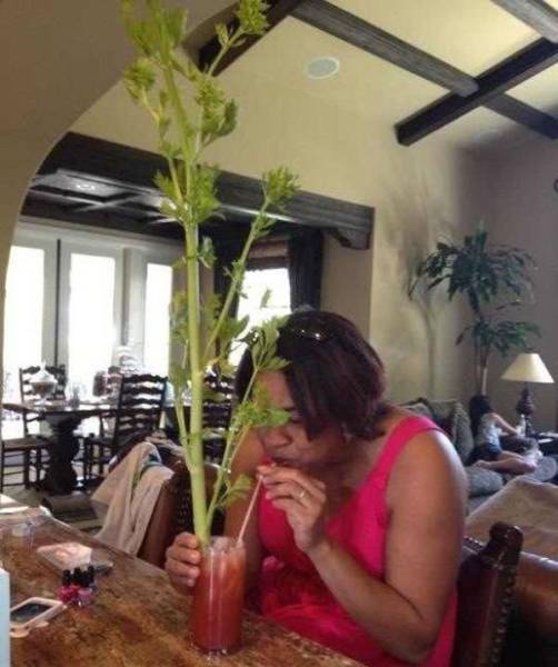 daily picdump weekend edition 50 pics 9.html - 50 HD Photos | Premium Gallery 2017