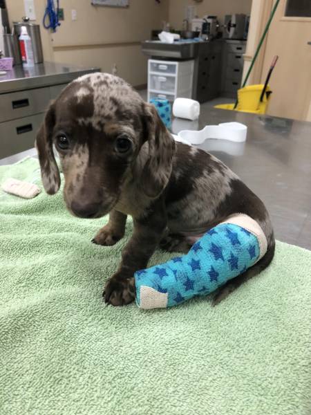 daily picdump weekend edition 50 pics 9.html - 50 HD Photos | Premium Gallery 2017