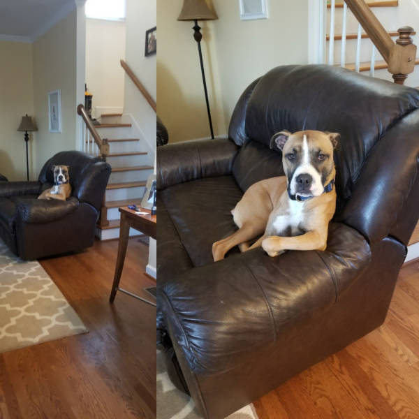 daily picdump weekend edition 50 pics 9.html - 50 HD Photos | Premium Gallery 2017