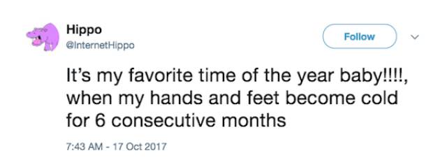 Chill Out And Check These Cool Jokes