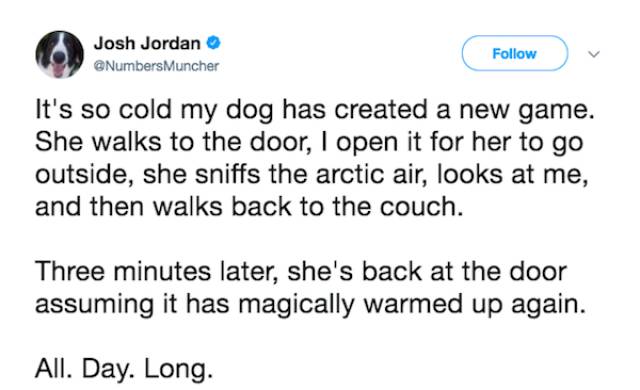 Chill Out And Check These Cool Jokes