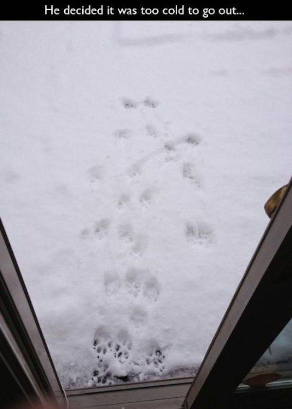 Chill Out And Check These Cool Jokes