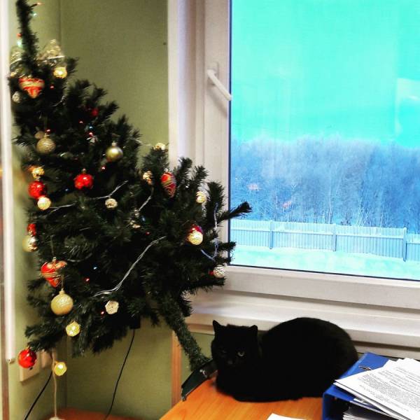 daily picdump 97 pics 20.html - 97 HD Photos | Premium Gallery 2018