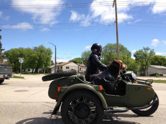 daily picdump 97 pics 20.html - 97 HD Photos | Premium Gallery 2018