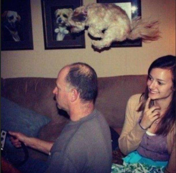 daily picdump 97 pics 20.html - 97 HD Photos | Premium Gallery 2018