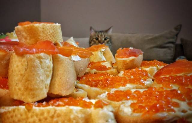 daily picdump 97 pics 20.html - 97 HD Photos | Premium Gallery 2018