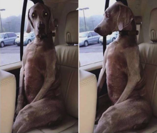 daily picdump 97 pics 20.html - 97 HD Photos | Premium Gallery 2018