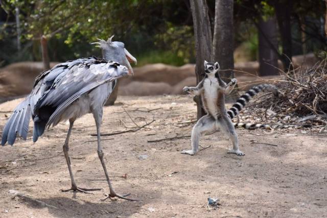 daily picdump 97 pics 20.html - 97 HD Photos | Premium Gallery 2018