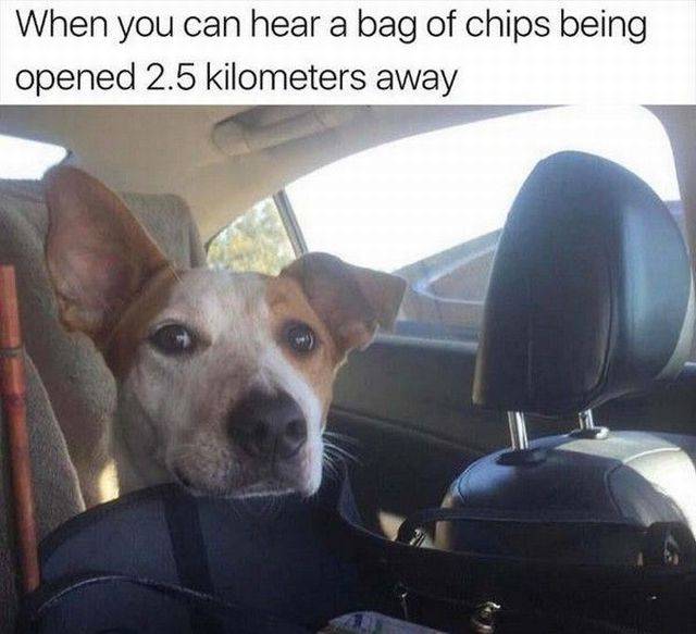 daily picdump 97 pics 20.html - 97 HD Photos | Premium Gallery 2018