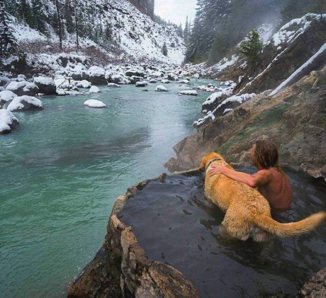 daily picdump 97 pics 20.html - 97 HD Photos | Premium Gallery 2018