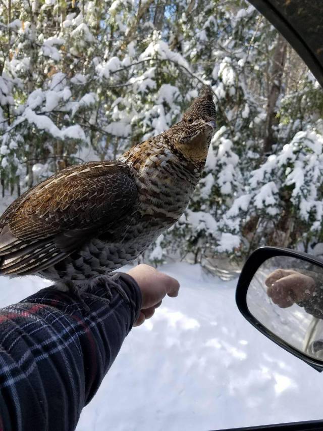 daily picdump 97 pics 20.html - 97 HD Photos | Premium Gallery 2018