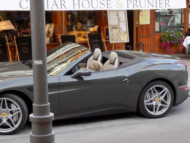 morning picdump 54 pics 4.html - 54 HD Photos | Premium Gallery 2018