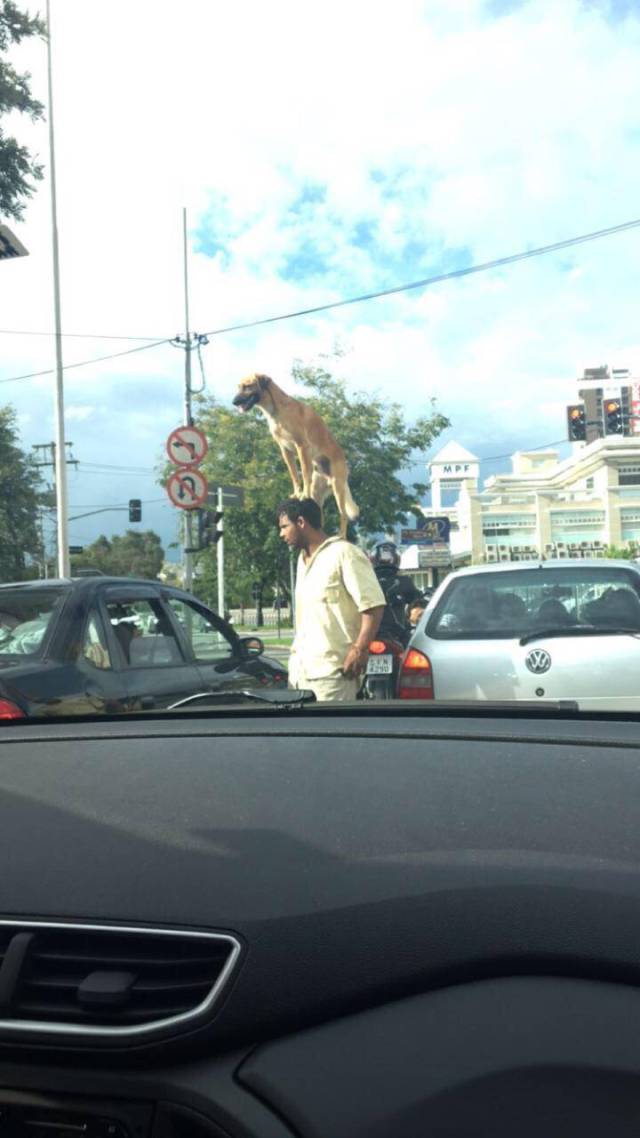 morning picdump 54 pics 4.html - 54 HD Photos | Premium Gallery 2018