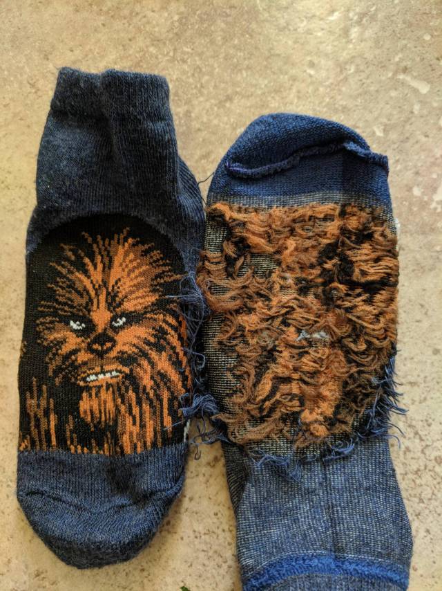 morning picdump 54 pics 4.html - 54 HD Photos | Premium Gallery 2018