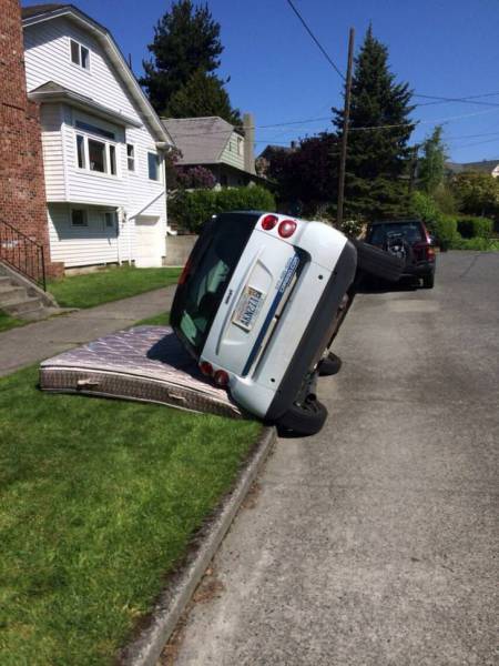 daily picdump weekend edition 52 pics 2.html - 52 HD Photos | Premium Gallery 2018