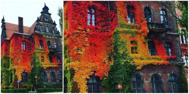 daily picdump weekend edition 52 pics 2.html - 52 HD Photos | Premium Gallery 2018