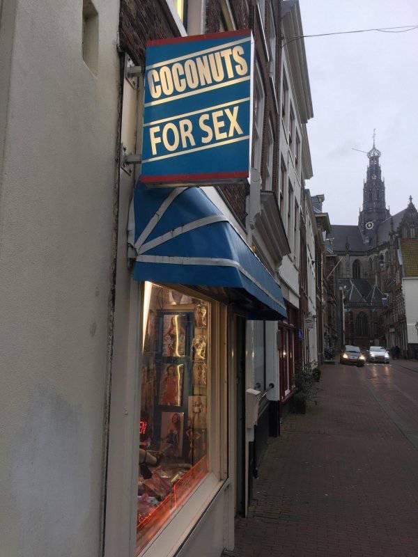 daily picdump weekend edition 52 pics 2.html - 52 HD Photos | Premium Gallery 2018