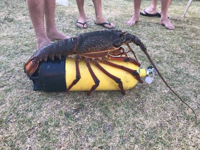 daily picdump 93 pics 1.html - 93 HD Photos | Premium Gallery 2018