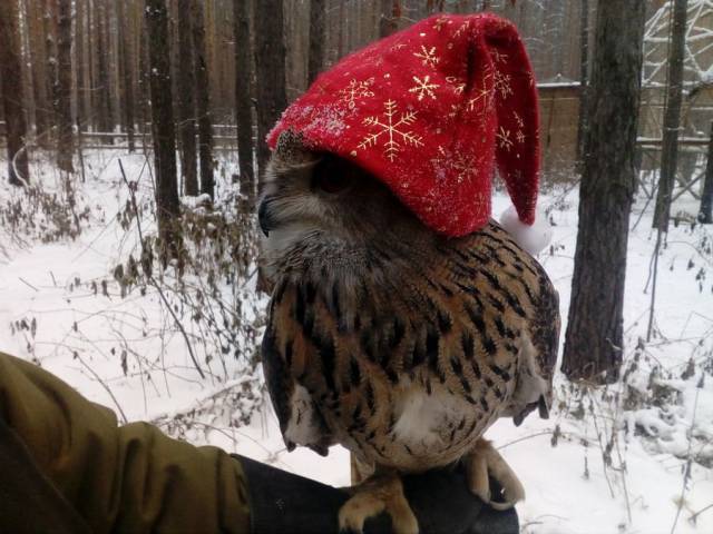 daily picdump 93 pics 1.html - 93 HD Photos | Premium Gallery 2018