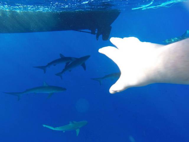 daily picdump 93 pics 1.html - 93 HD Photos | Premium Gallery 2018