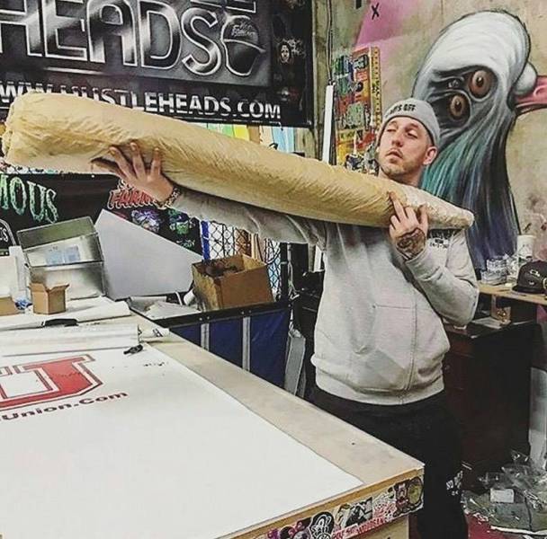 daily picdump 93 pics 1.html - 93 HD Photos | Premium Gallery 2018