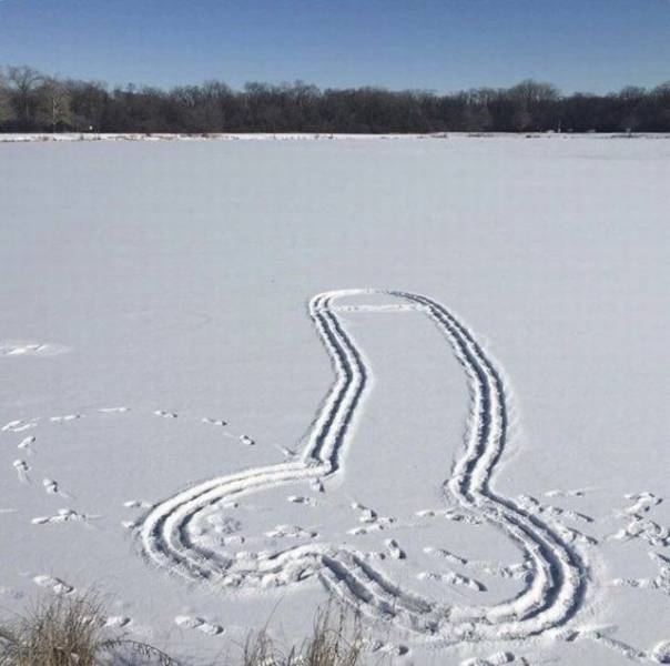 daily picdump 93 pics 1.html - 93 HD Photos | Premium Gallery 2018