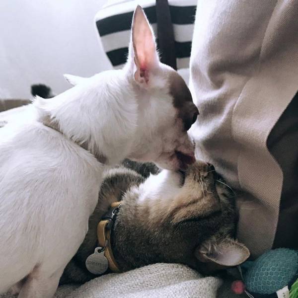 daily picdump 93 pics 1.html - 93 HD Photos | Premium Gallery 2018