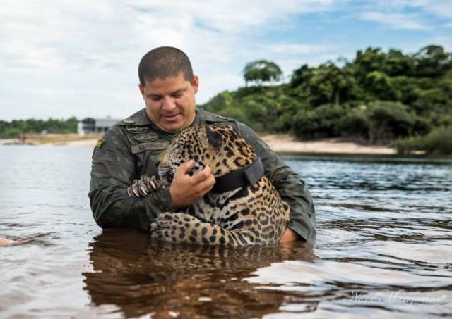 daily picdump 93 pics 1.html - 93 HD Photos | Premium Gallery 2018