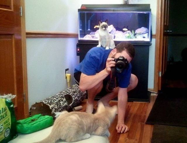 daily picdump 93 pics 1.html - 93 HD Photos | Premium Gallery 2018